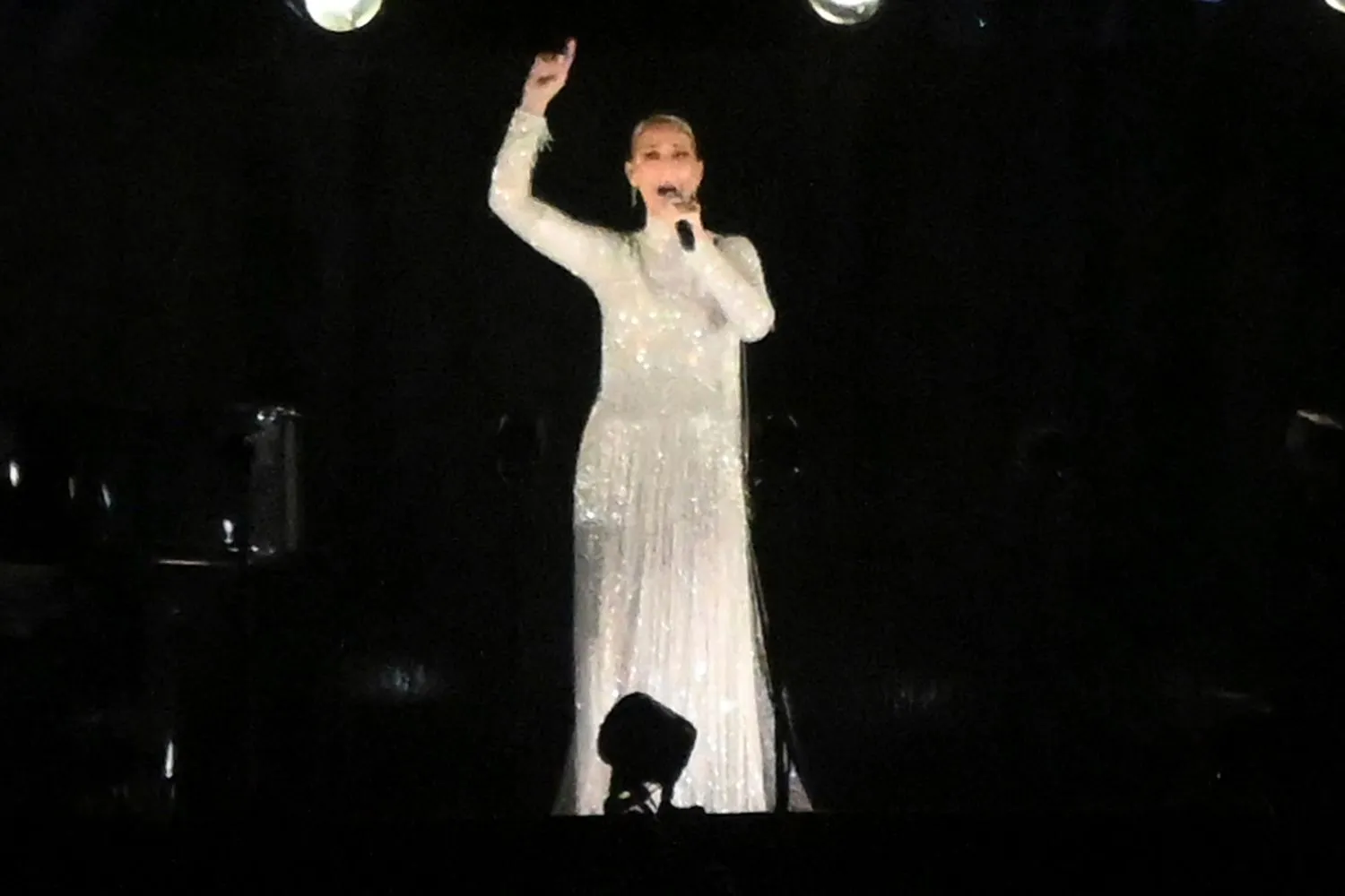 Céline Dion Opening Ceremony Dress 