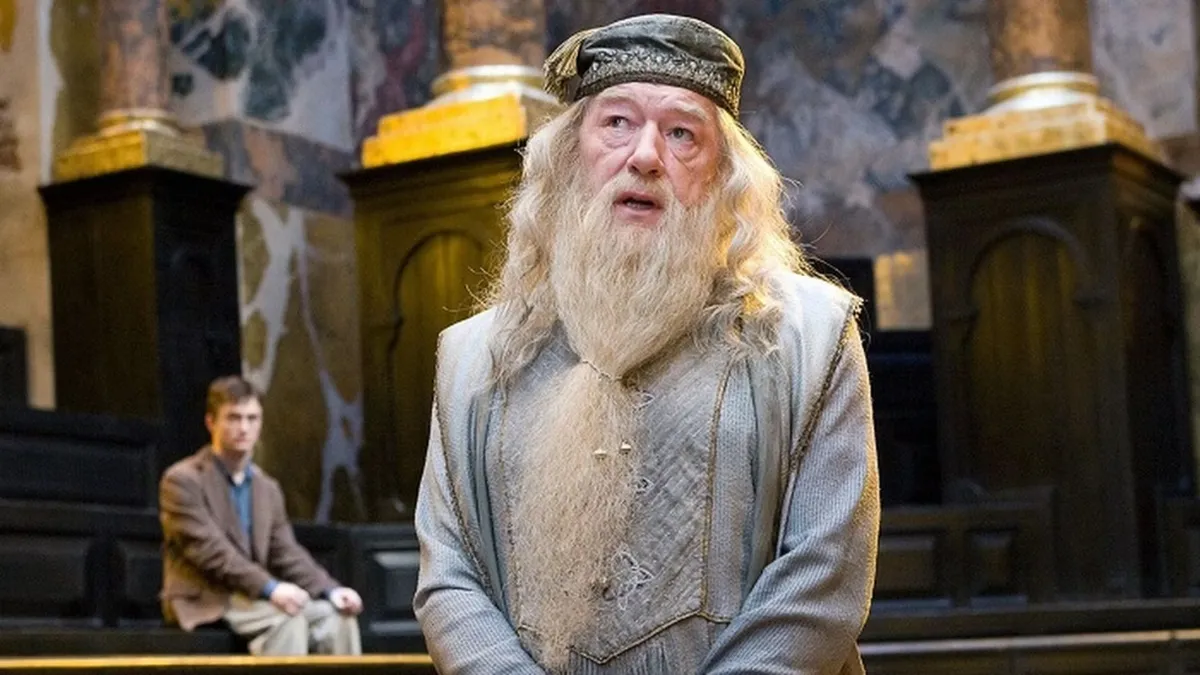 Dumbledore Order of the Phoenix