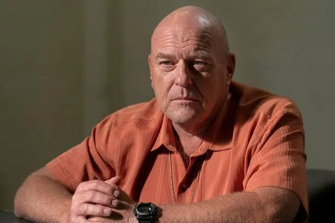Understanding Colour in ‘Breaking Bad’--Hank Schrader