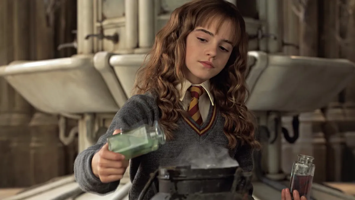 Mary Sue- Hermione Granger