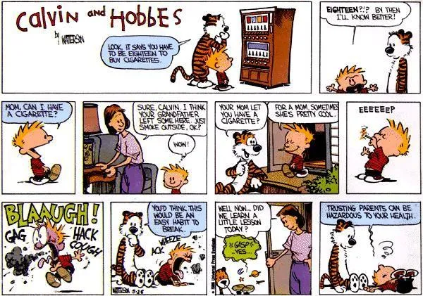 Calvin and Hobbes – Bill Watterson