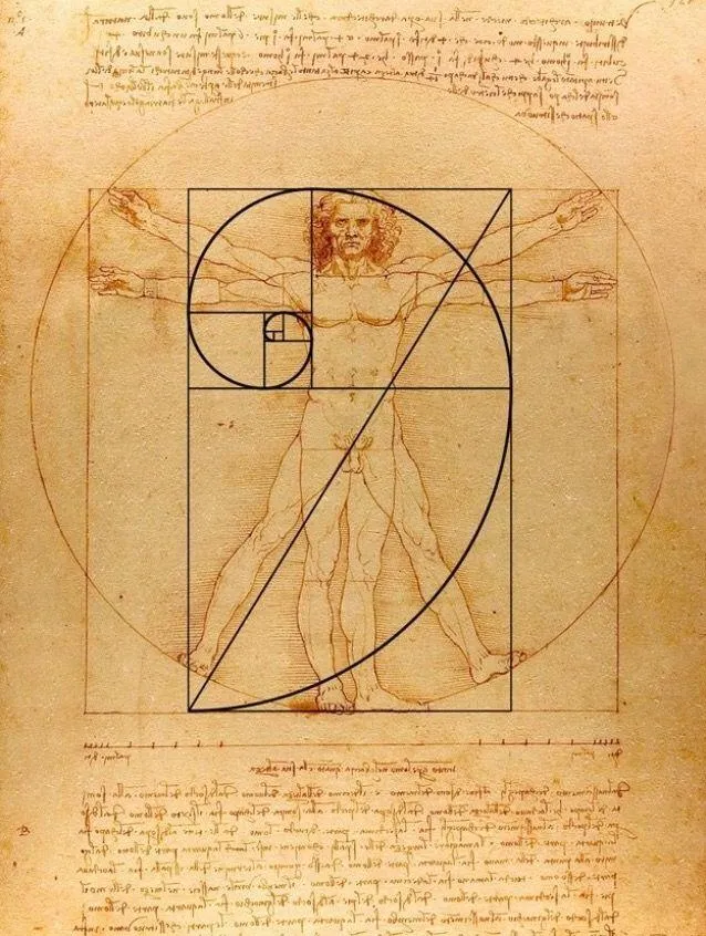 The Vitruvian Man--Fibbonacci sequence