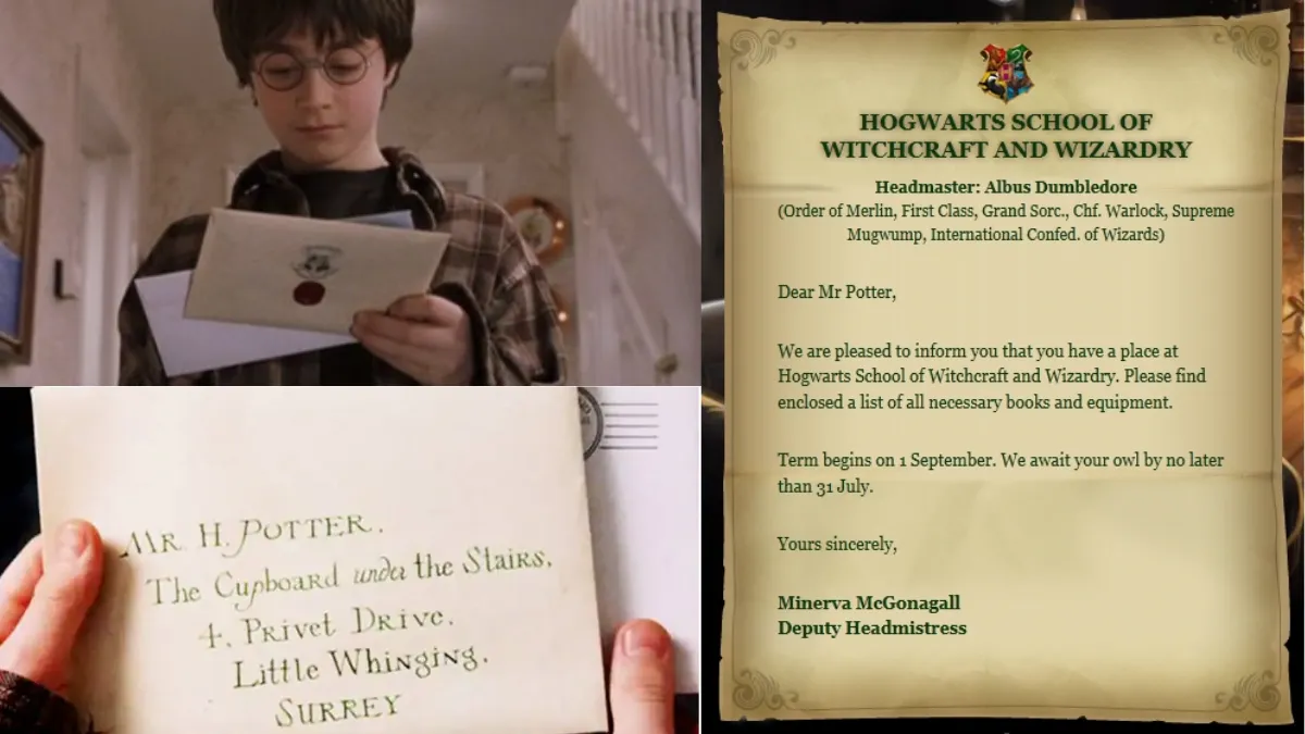 What If Harry Potter Hadn’t Been Chosen for Hogwarts?