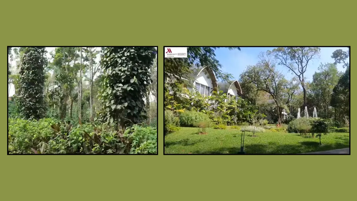 Coffee plantations and scenic views at Coorg Marriott Resort & Spa