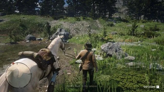 Red Dead Redemption 2 – ‘The Veteran’--side quests