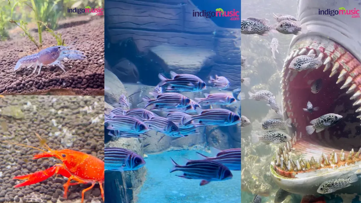 An unforgettable experience