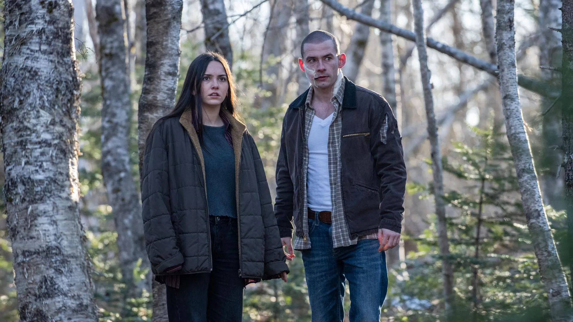 From Season 3 (2024) - Movie Reviews Simbasible