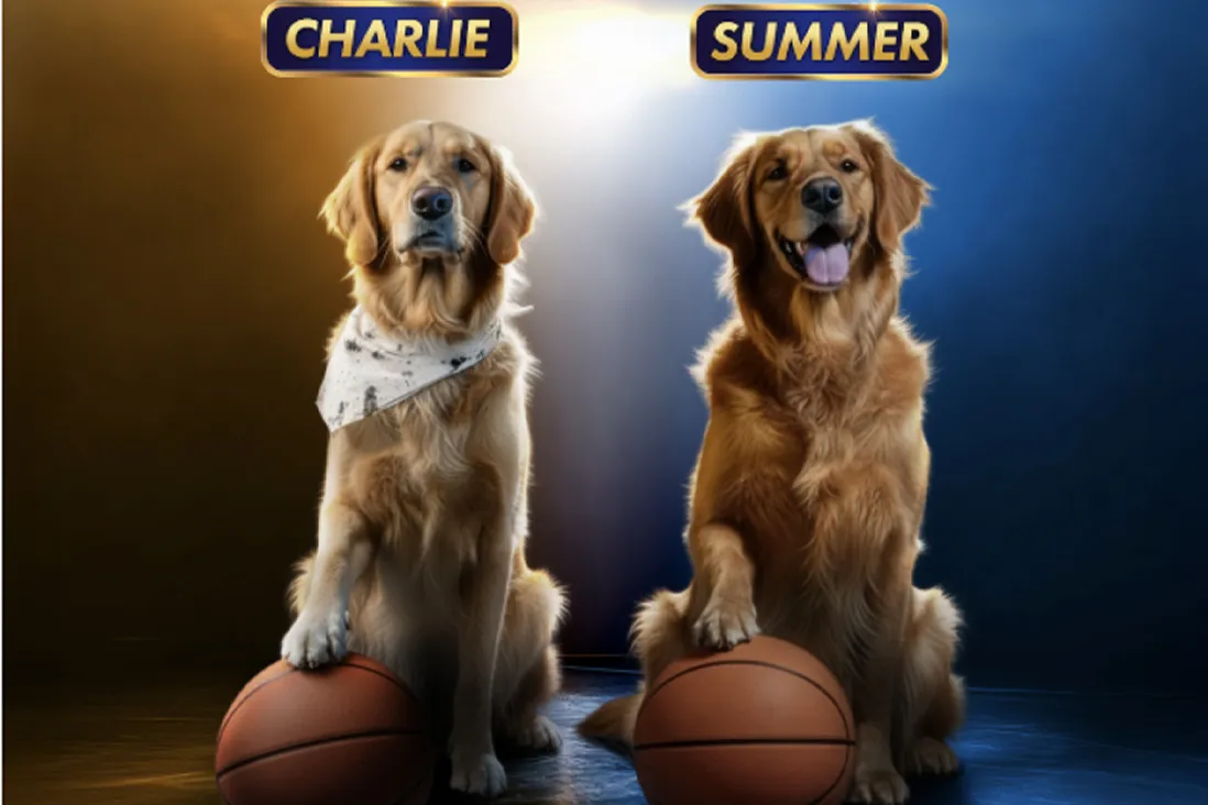 Air Bud Returns' Casts Its Dogs: Two Golden Retrievers in Sequel