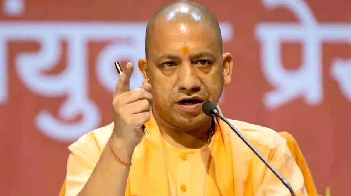 yogi