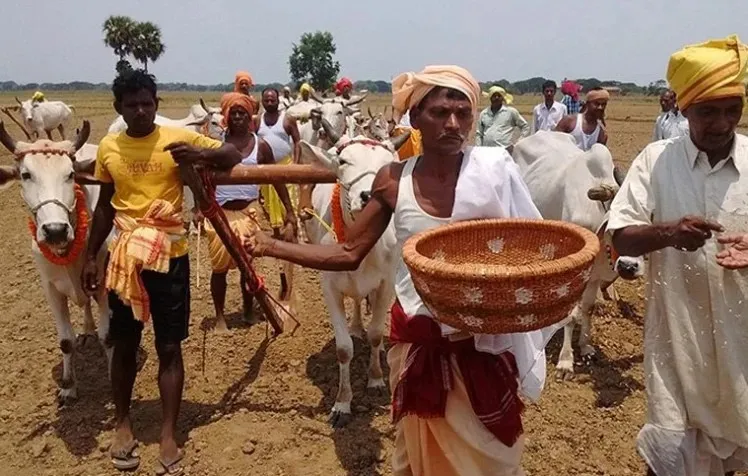 Akhi muthi