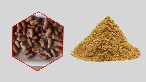 jamun-beej-powder 