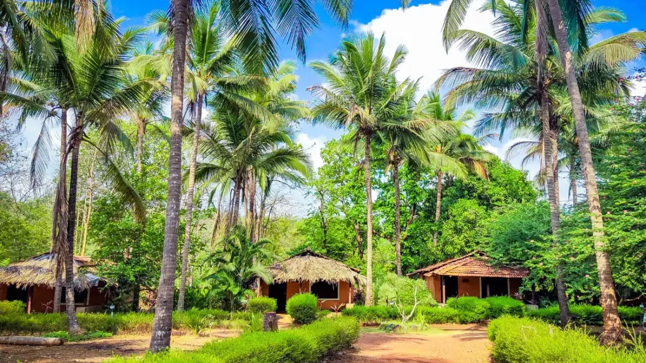 Natures Nest Goa 2
