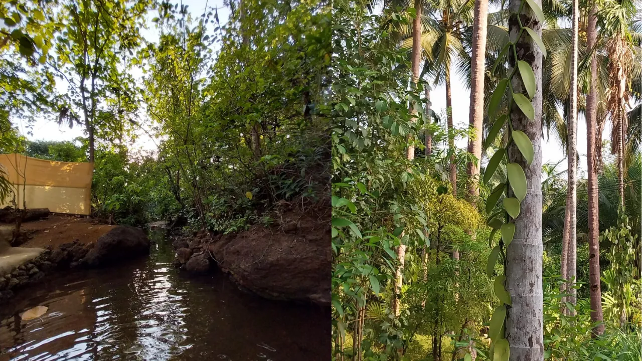 Natures Nest Goa 5