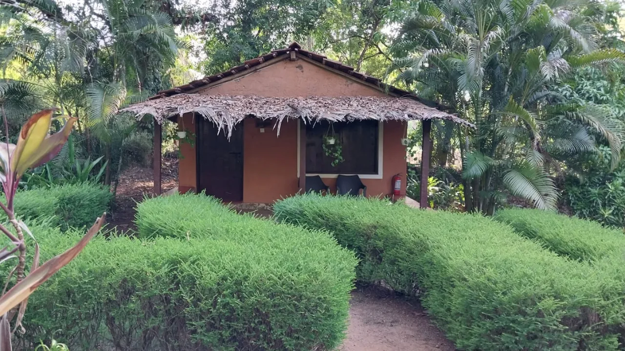Natures Nest Goa 6