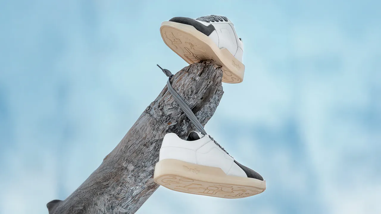 Thaely shoes price