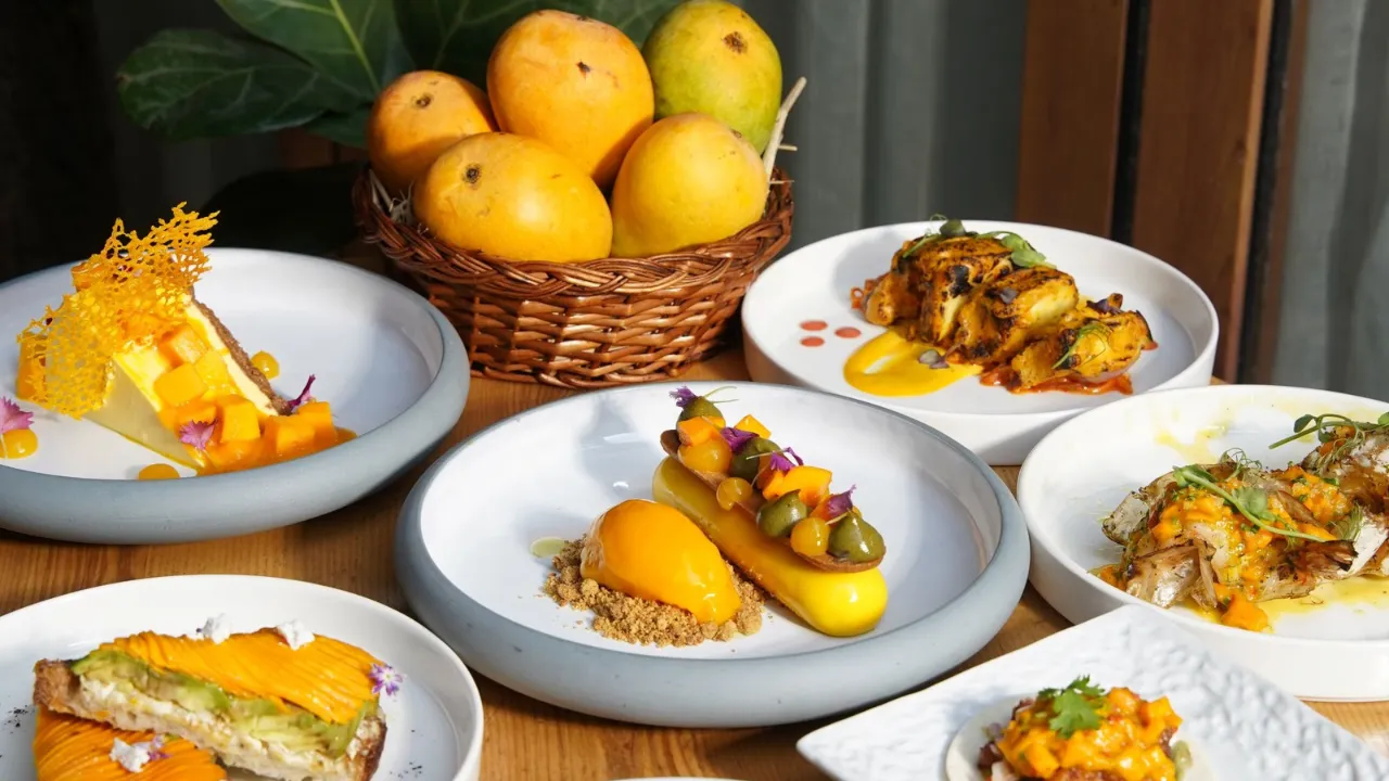 Mango Menu 1