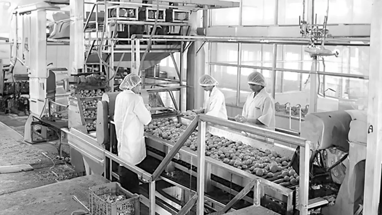 Balaji plant in Rajkot 