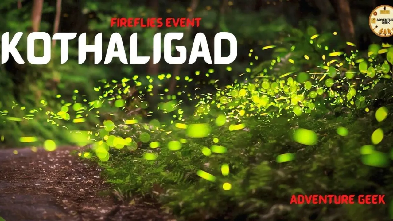 May events in Mumbai 9