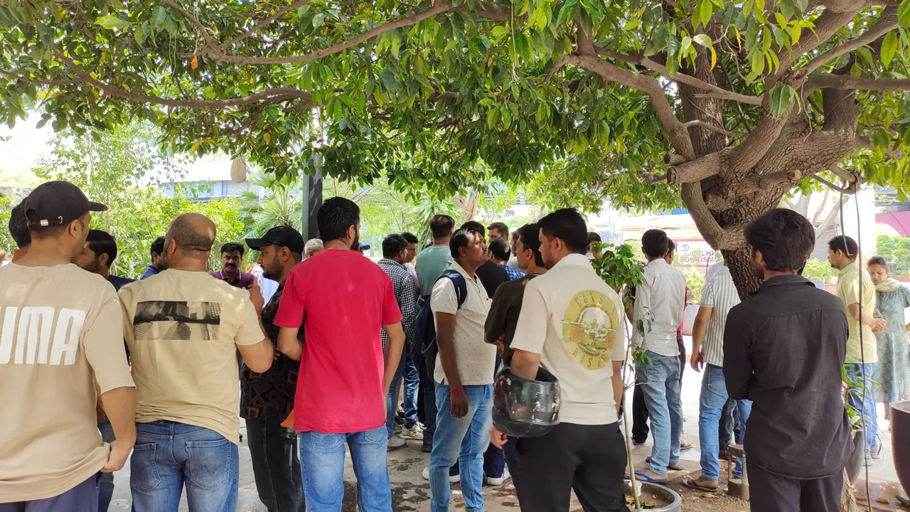 Dillihaatfire