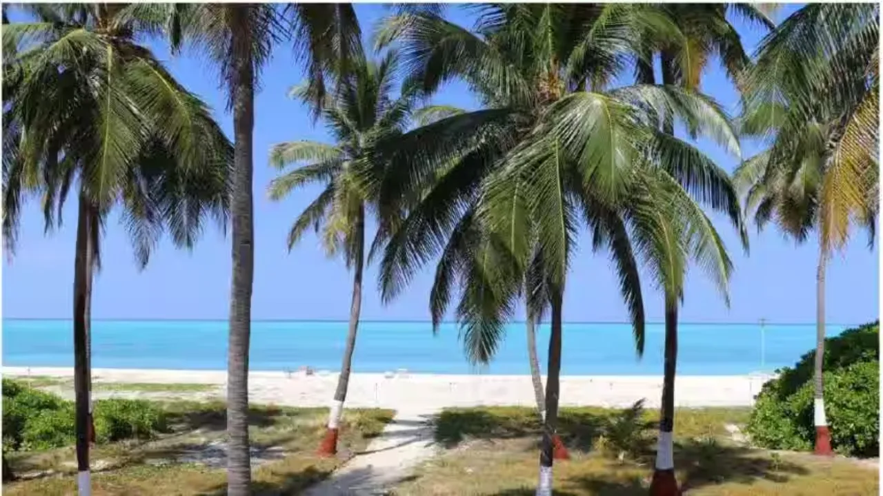 Lakshwadeep Beach