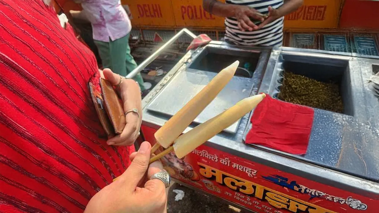 delhikulfi