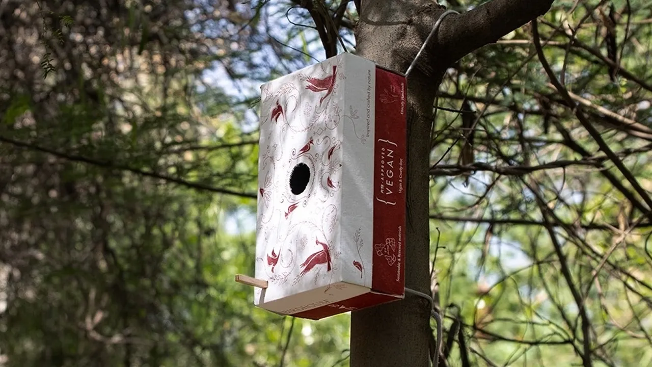 Birdhouse 