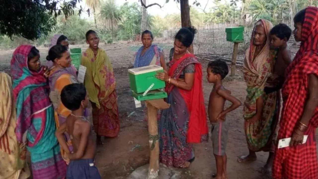 odishahoney