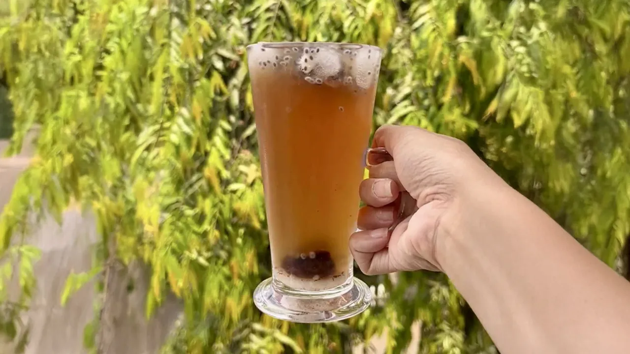 5 maharashtrian summer drink
