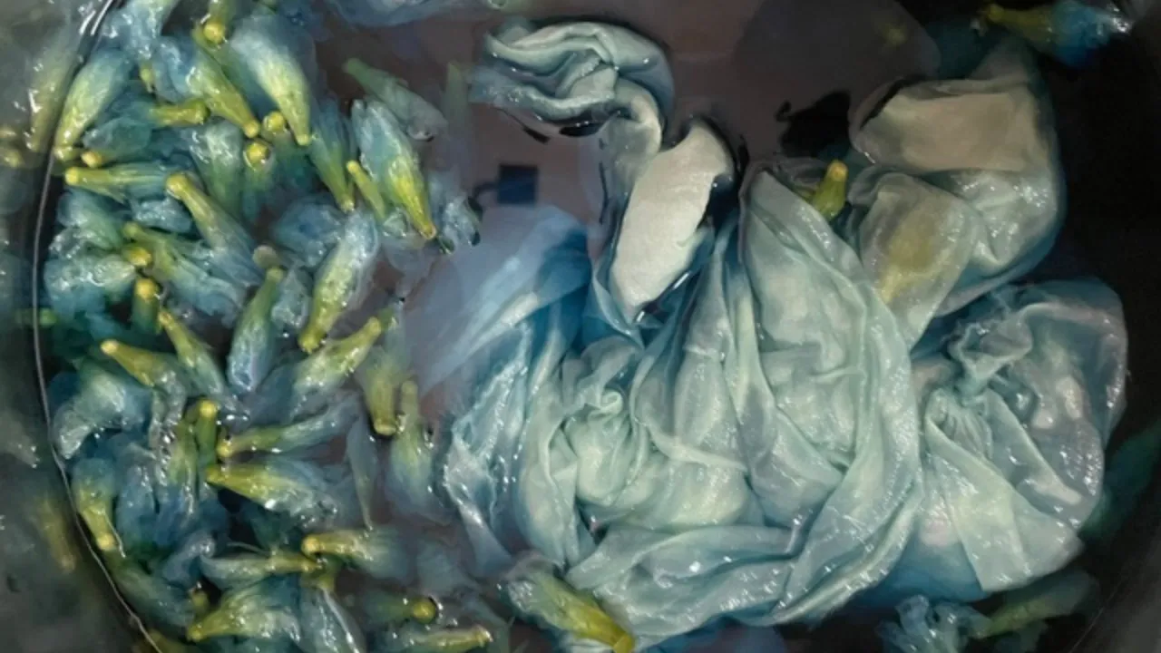 natural dye for fabric