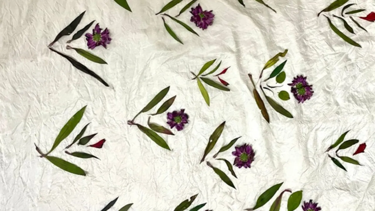 natural clothes 