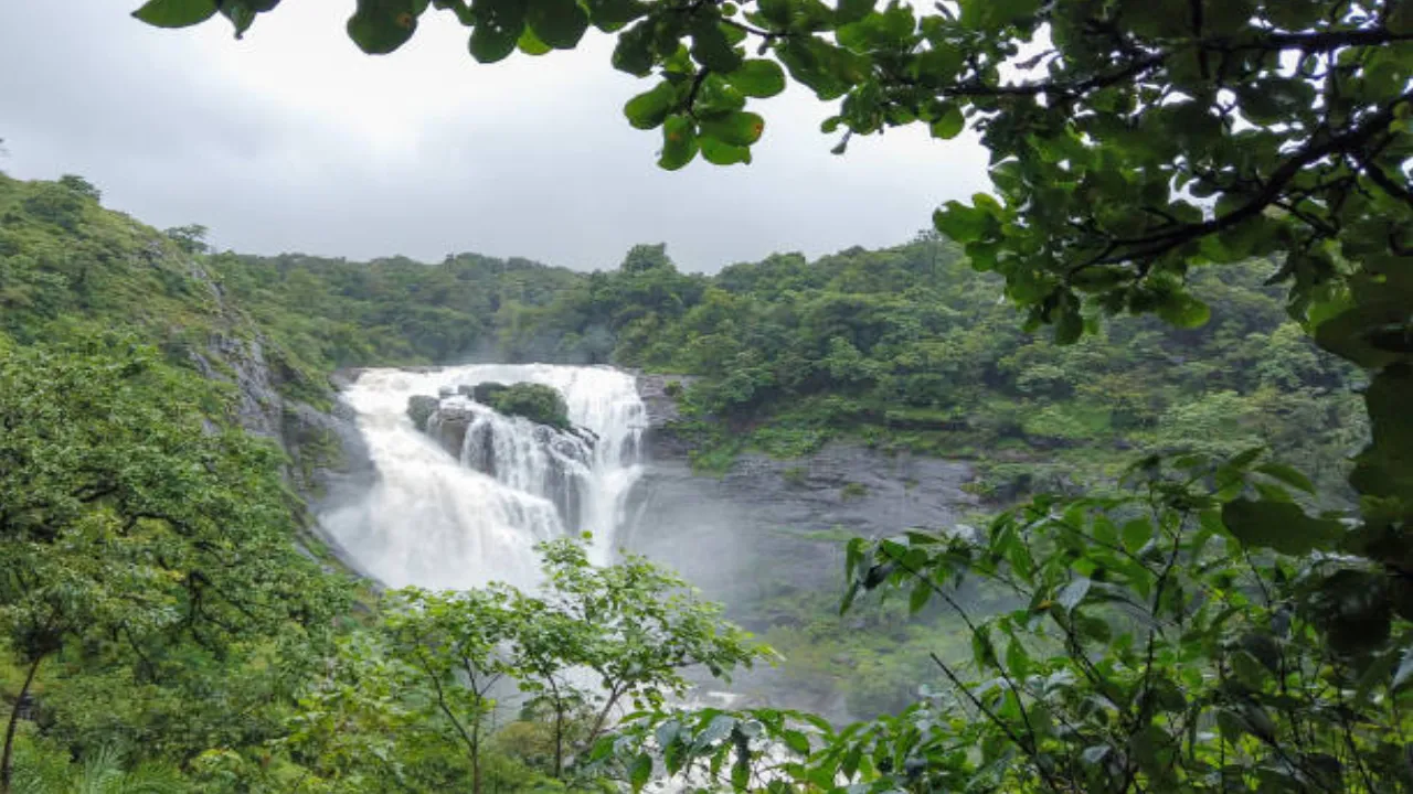 Madikeri 