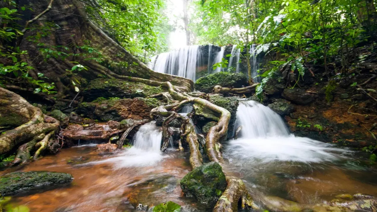 top 10 places to visit in monsoon in india with family, Monsoon Travel Destinations in India