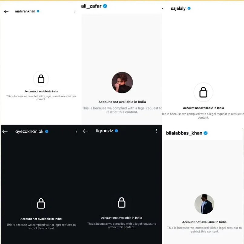 Pakistani Celebs Instagram Account Ban