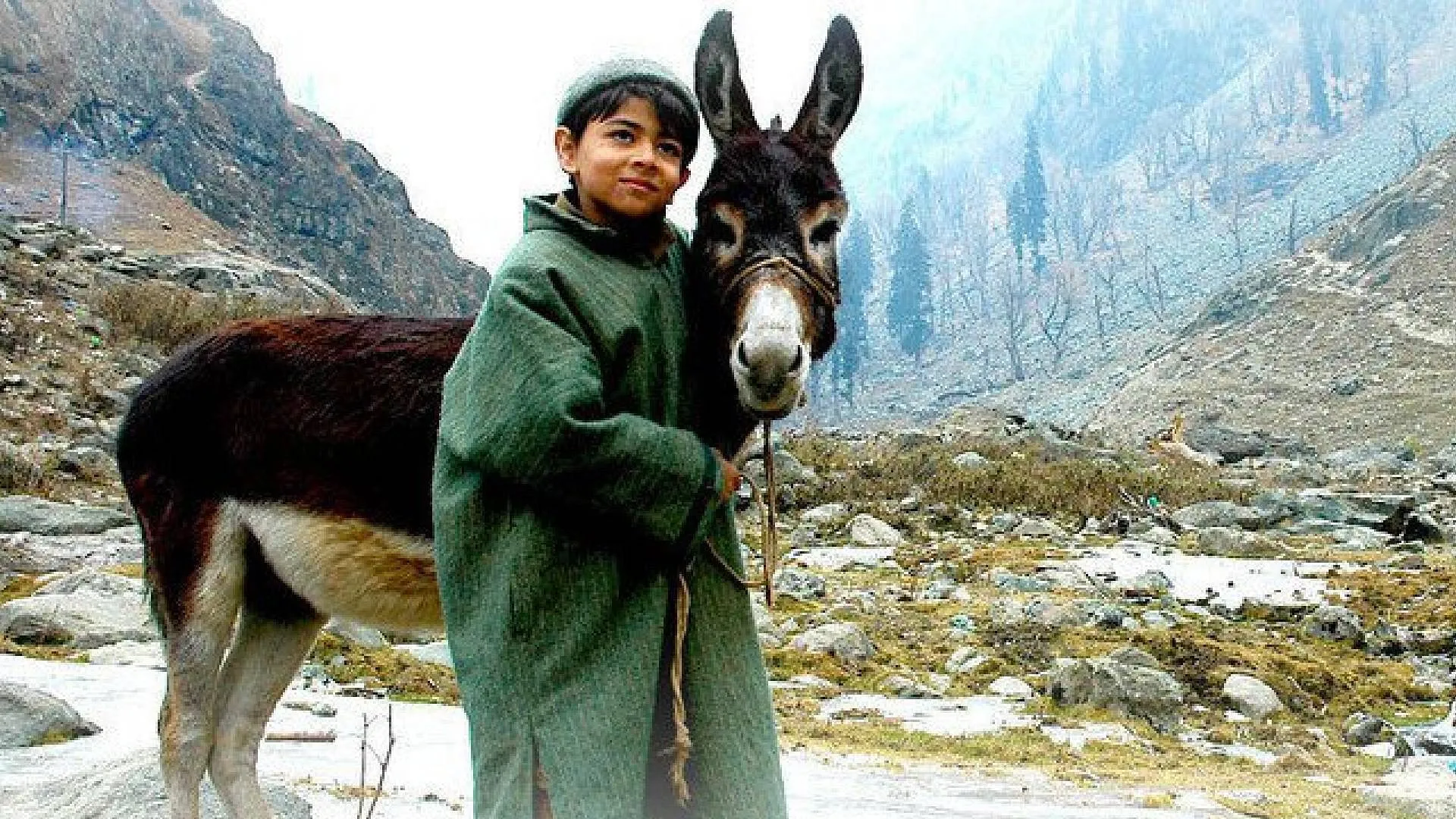 Pahalgam Terror Attack films 