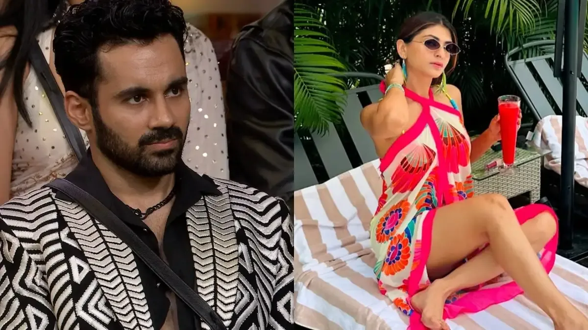 Bigg Boss 19: Who is Abhishek Bajaj's ex-wife, 