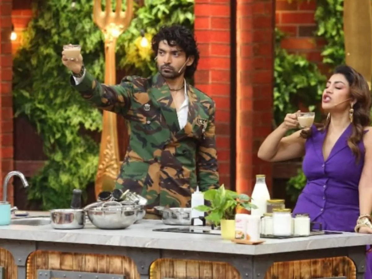 Pure Madness': Gurmeet Choudhary Gets Emotional After Laughter Chefs 3  Finale | Television News - News18