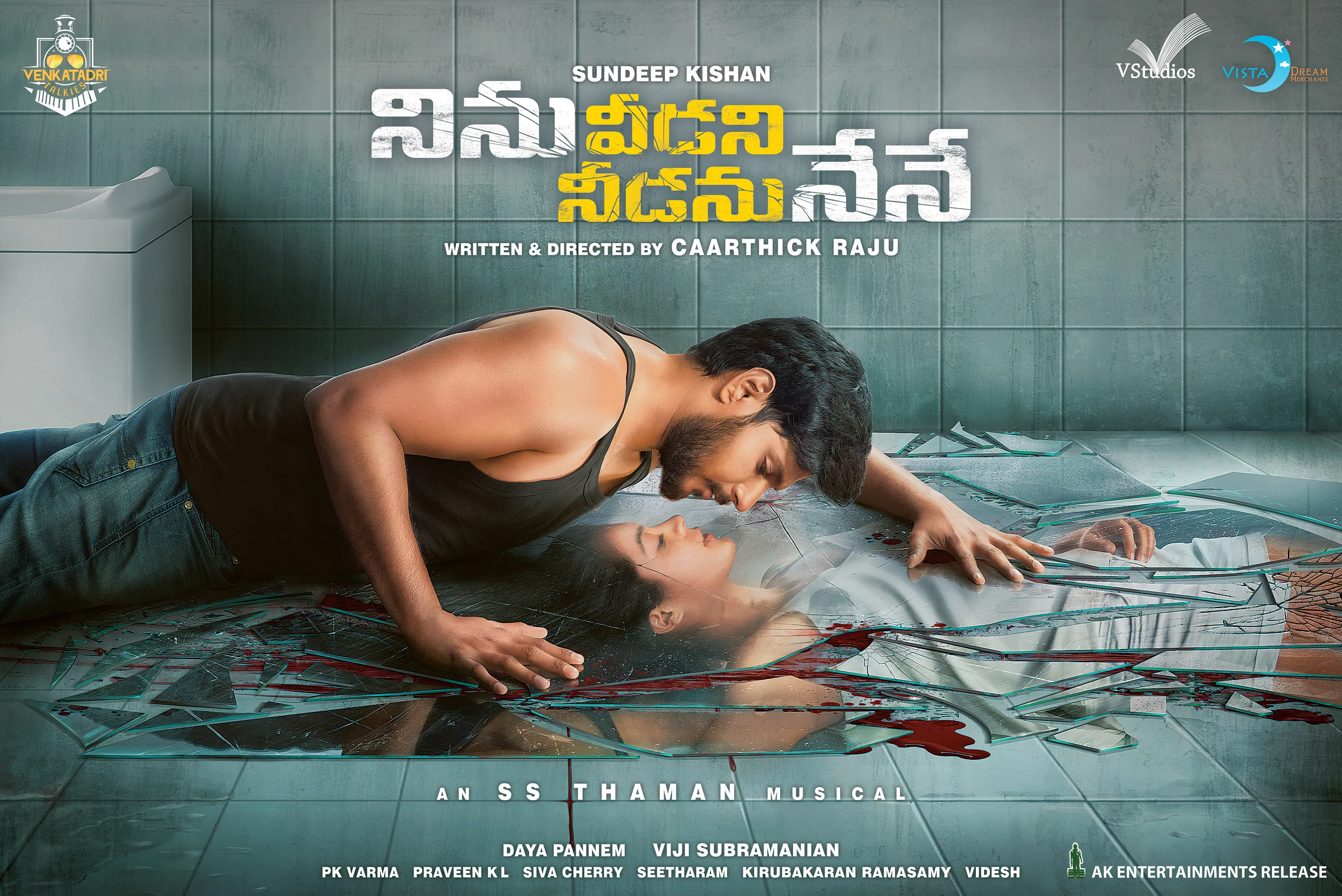 Ninnu Veedani Needanu Nene (2019) - IMDb