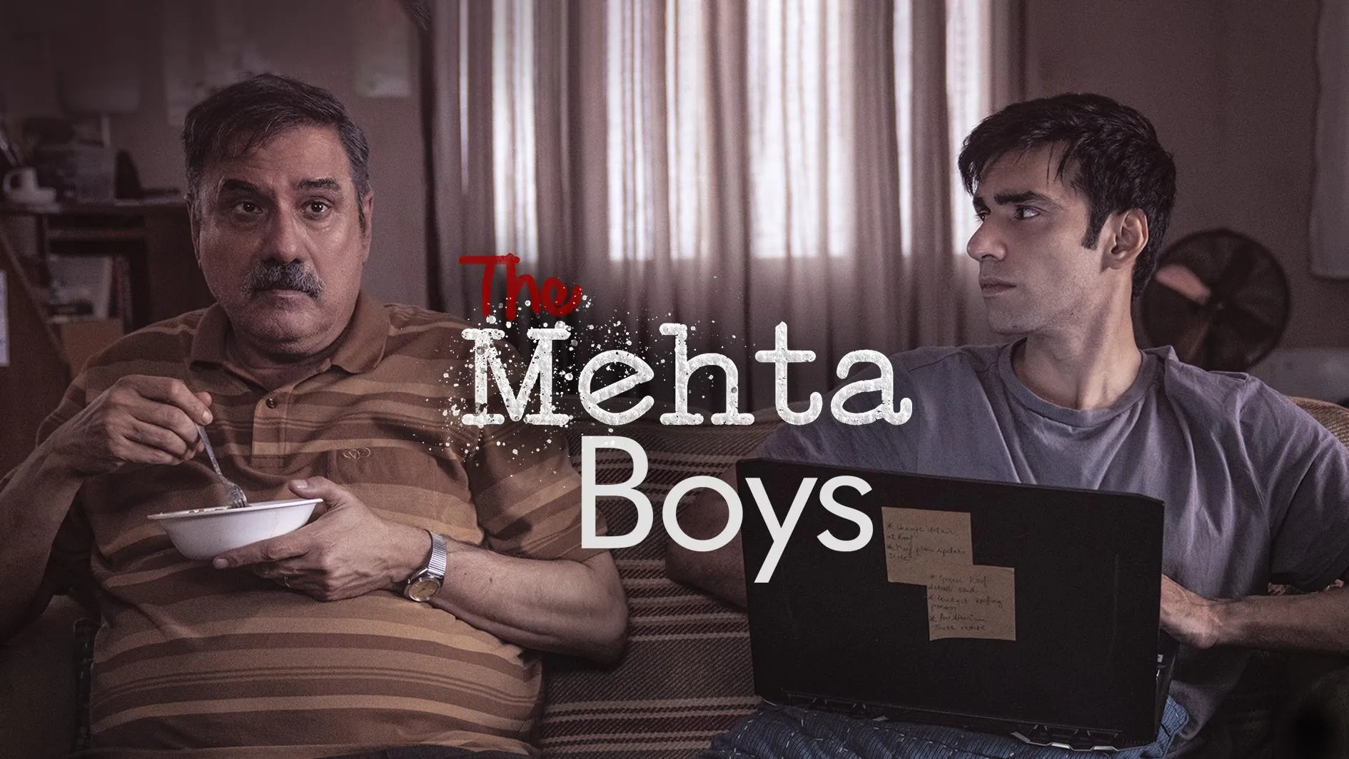 Prime Video: The Mehta Boys