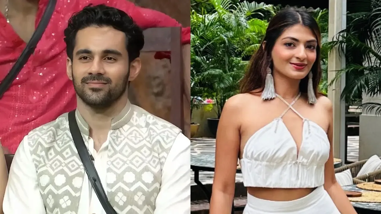 Bigg Boss 19's Abhishek Bajaj's ex-wife