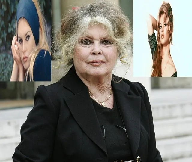 ग्लैमर से विद्रोह तक बार्डो युग का अंत, मशहूर अभिनेत्री ब्रिजिट का 91 की  उम्र में निधन - brigitte bardot french screen legend dies aged 91-mobile