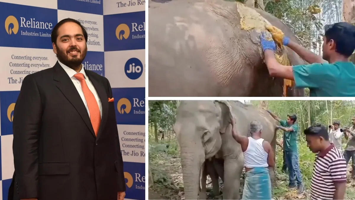 Anant Ambani's Vantara Team 