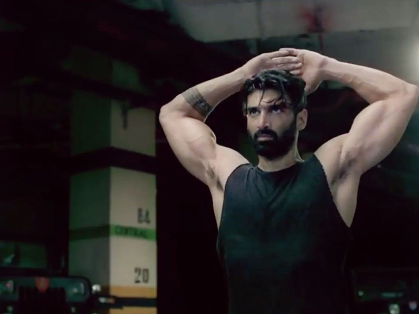 Aditya Roy Kapur 