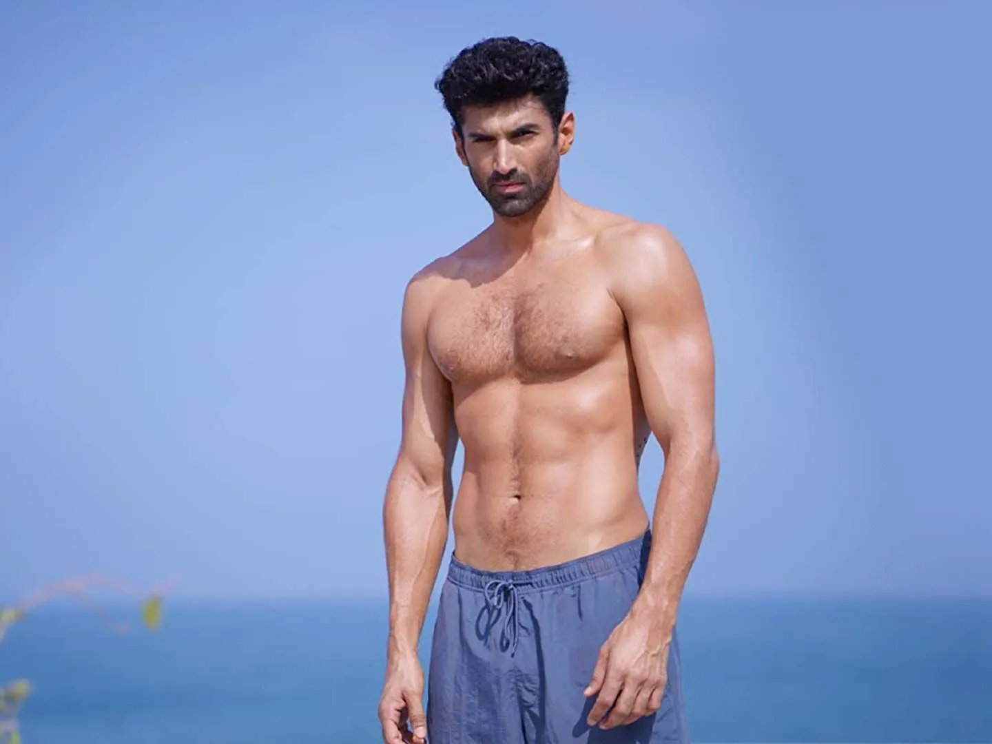 Aditya Roy Kapur'