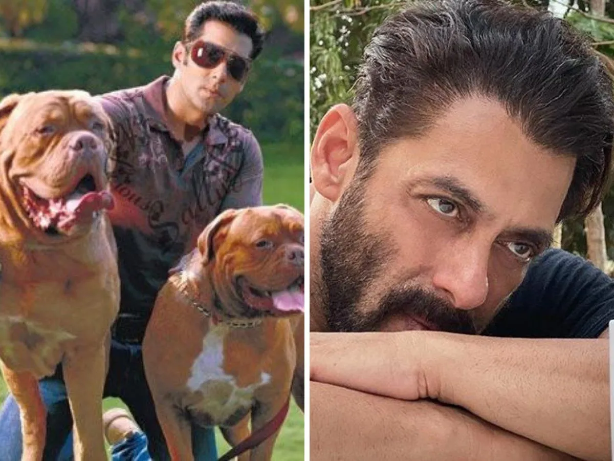 Salman pet dogs | Did you know Salman Khan continued shooting after pet  dog's funeral during London Dreams' shoot?