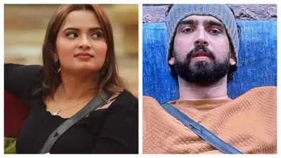 Bigg Boss 19: Neelam Giri says "I can marry a guy like Amaal Mallik, he has  money" | - The Times of India