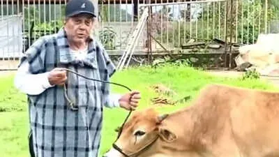 When Dharmendra had shared sweet throwback video posing with his beloved  cattle: Watch | - The Times of India