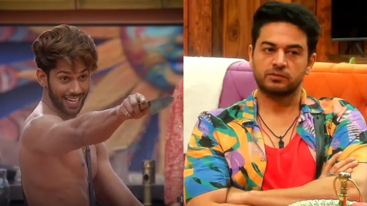 Bigg Boss 19: Baseer Ali 