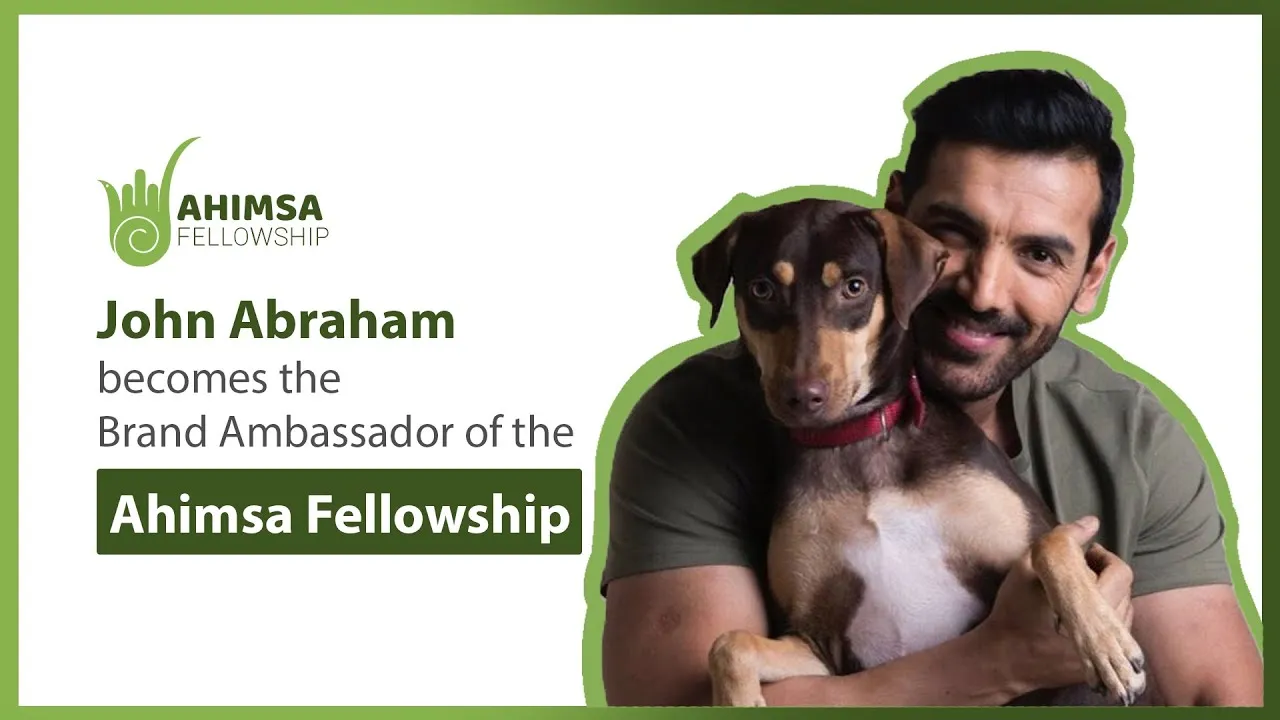 John Abraham's message for people committed to helping animals