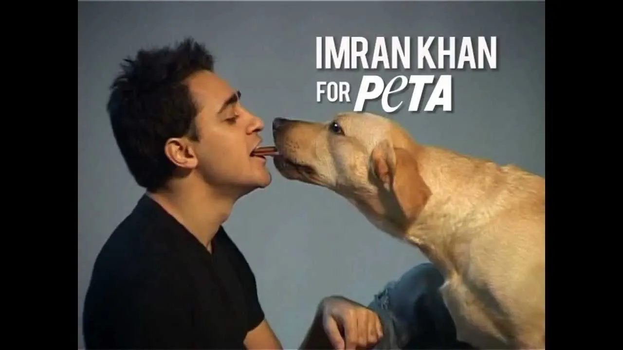 Imran Khan Urges Fans to Adopt - Blog - PETA India