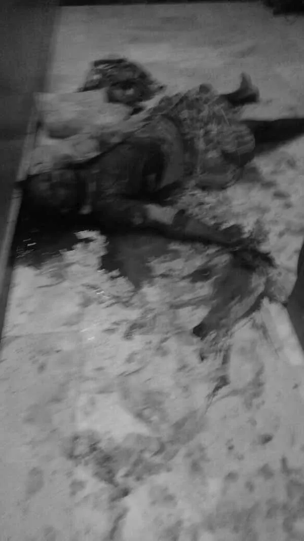 publive-image